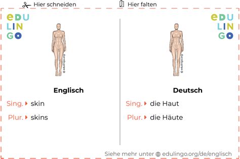 englisch haut